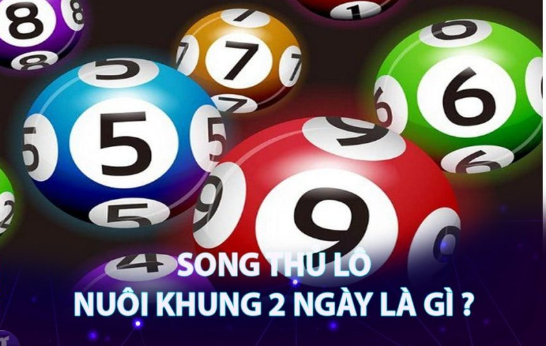 Nuôi song thủ lô khung 2 ngày là gì? 